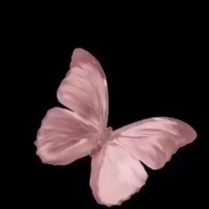 Meet your Posher, Deenae